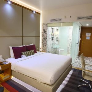 World Traveller (Double)