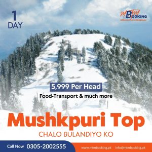 Enchanting Journey To MushkPuri Top